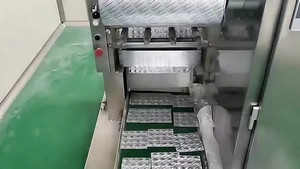 Alu-Alu Strip Packaging Machine