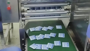 Dual-Servo Multi-Lane Sachet Packaging Machine