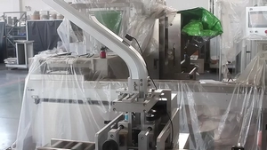 Intermittent Motion Vertical Cartoner