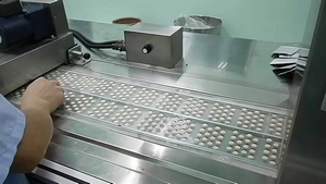 DPH190D Alu-PVC & Alu-Alu Blister Packaging Machine