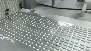 DPH260Q Alu-PVC & Alu-Alu Blister Packaging Machine