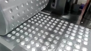 DPH250D Alu-PVC & Alu-Alu Blister Packaging Machine